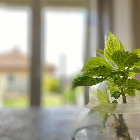 Apartmenthaus Luett Meer Ludorf Luaran gambar